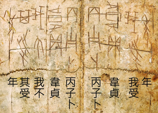 填硃卜辭龜腹甲（局部及釋文）