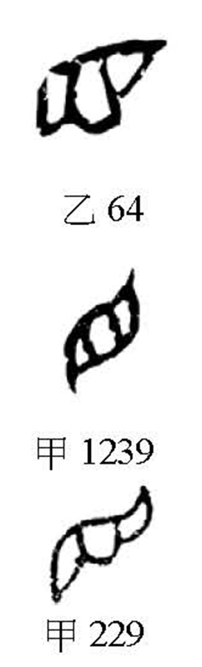 Eye of the Tiger：虎之眼是「目」字眼