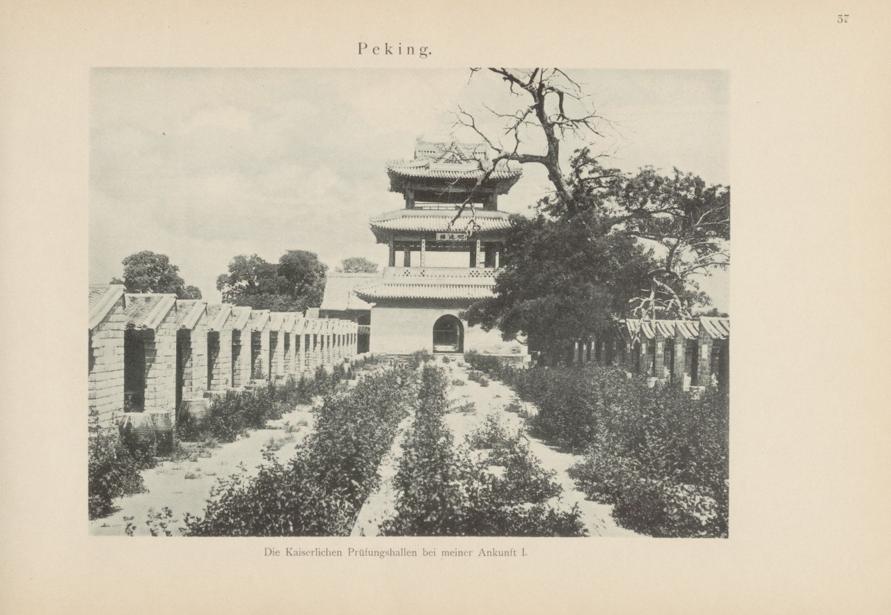 (3) The Examination Compound