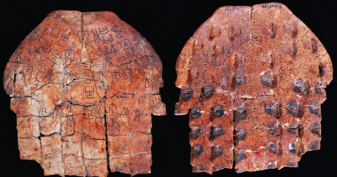 Oracle Bone (Turtle Plastron) Ping-pien 247
