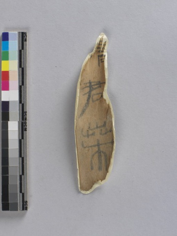 VI. Seal Script