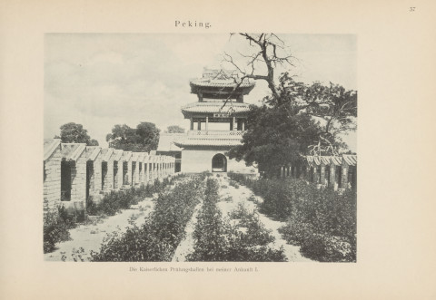(3) The Examination Compound