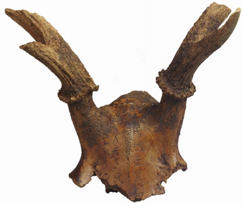 Inscribed Deer Skull Chia-pien 3940