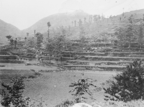 People and Place: The Relationship between Geographical Environments, Resources, and Societies