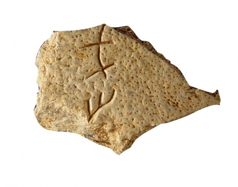 Inscribed Human Skull Chia-pien 3739
