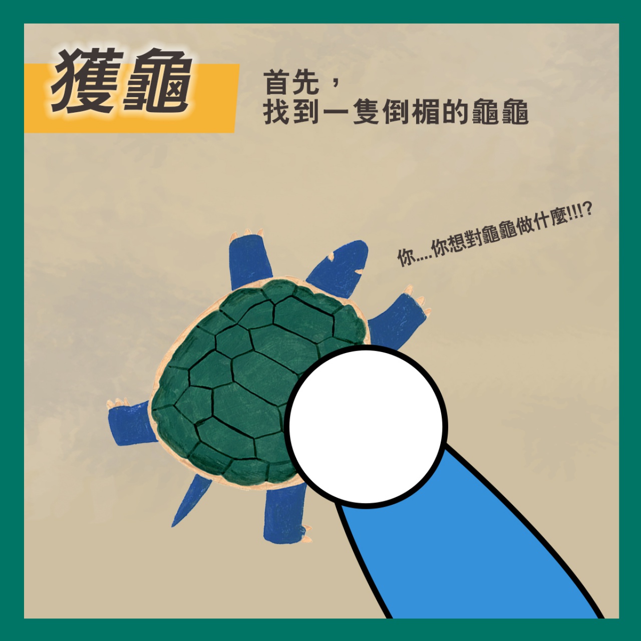 通天神龜──商代占卜用具說明書