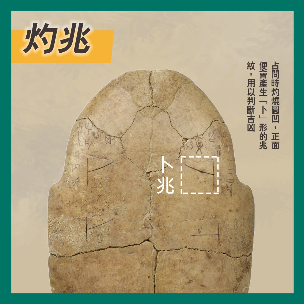 通天神龜──商代占卜用具說明書
