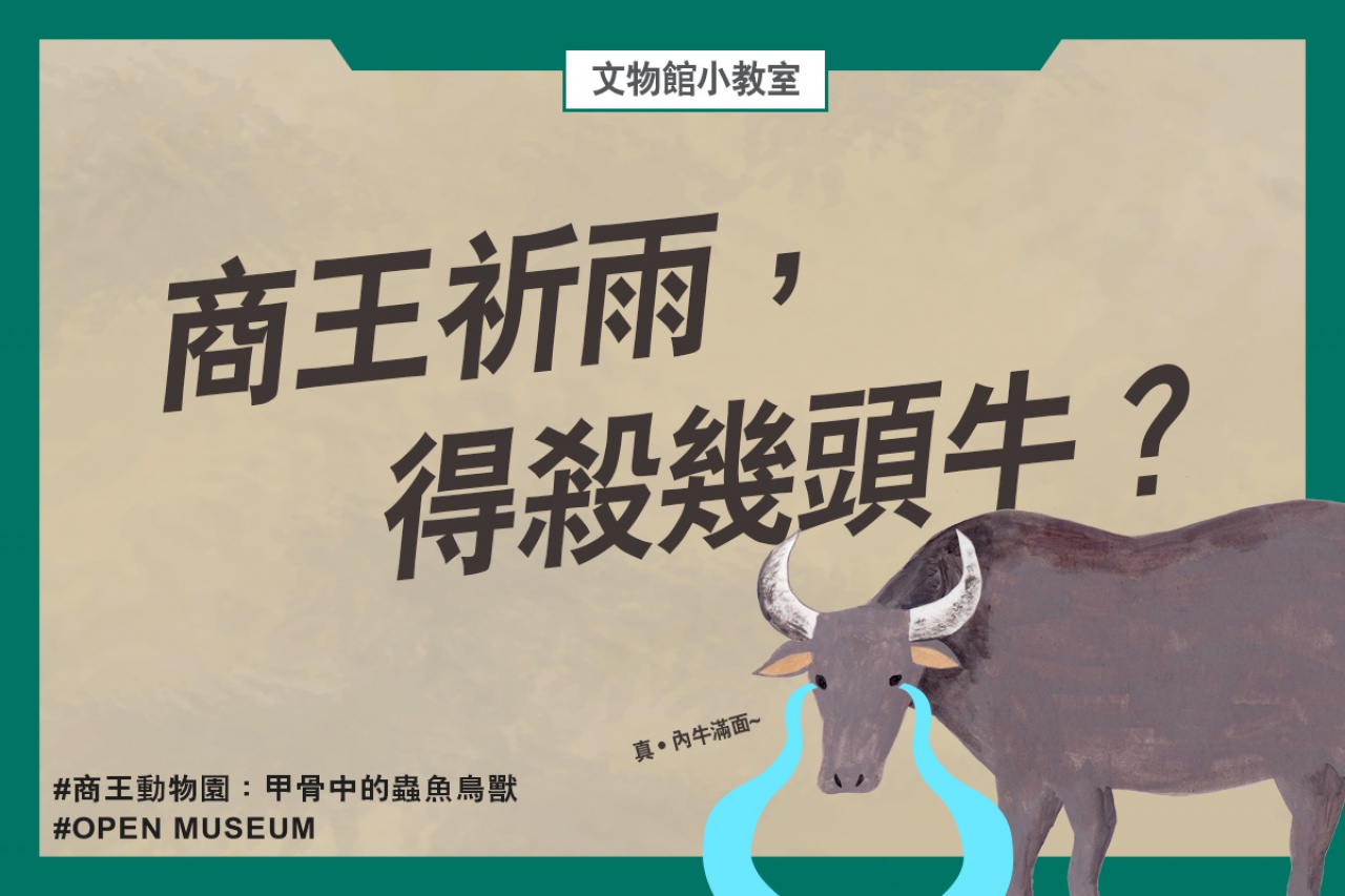 要求一場雨，得殺幾頭牛？