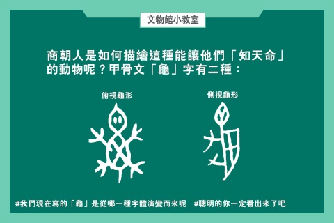 通天神龜──商代占卜用具說明書