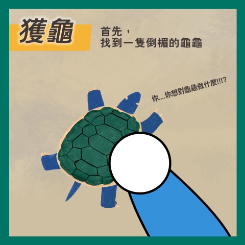 通天神龜──商代占卜用具說明書