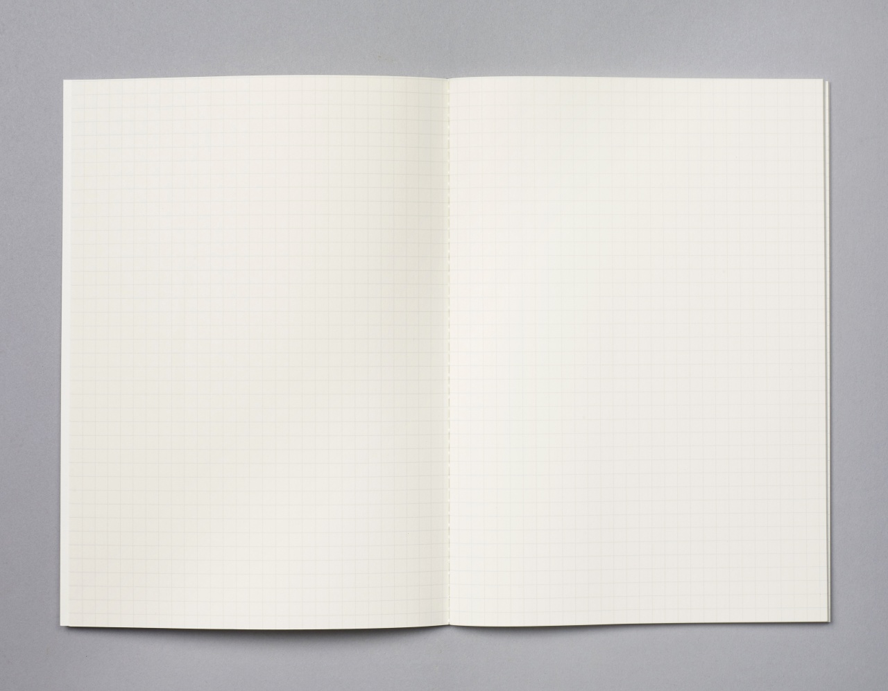 Standing Owl Notebook