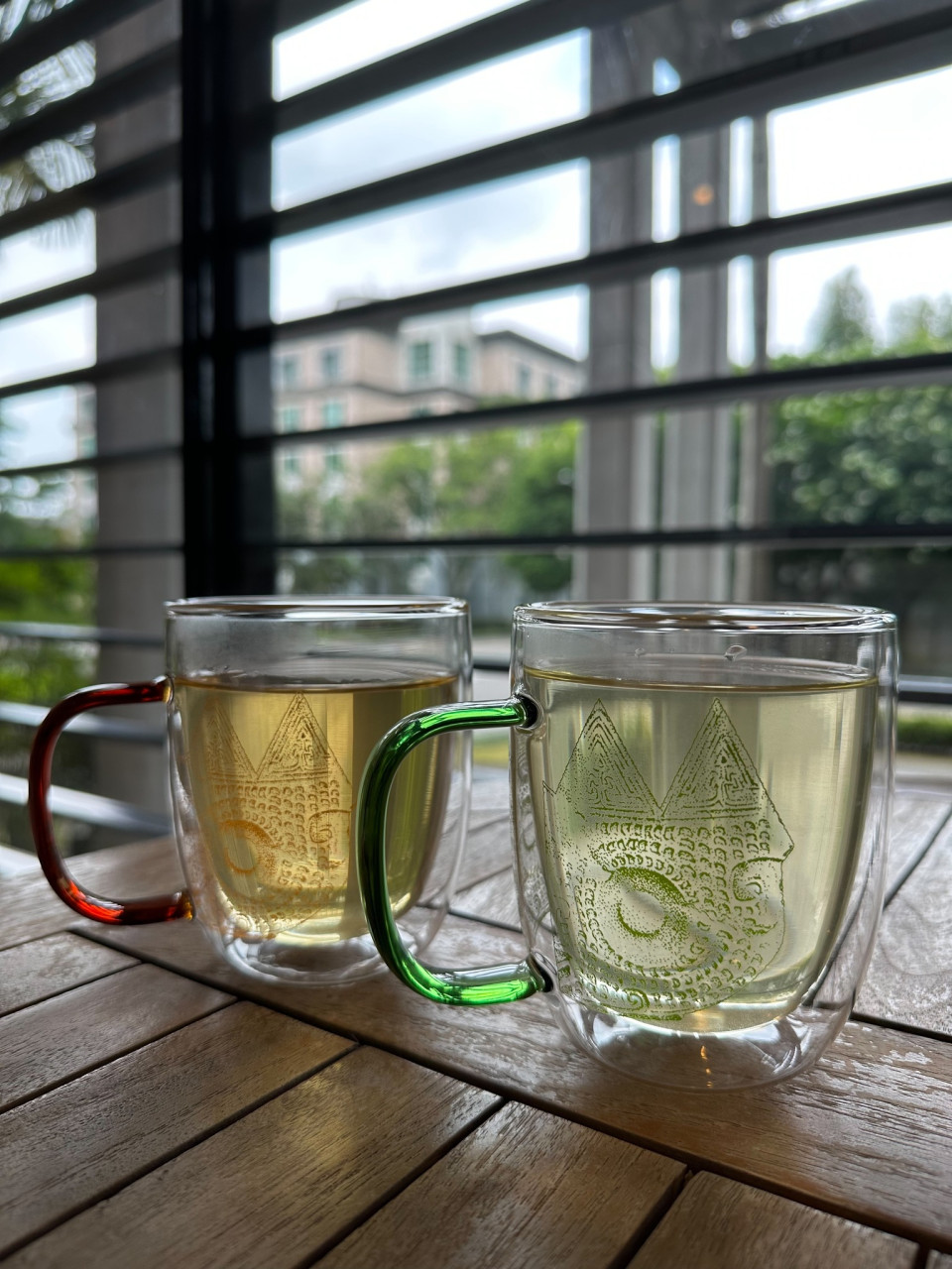Owl Pattern Double Wall Glass