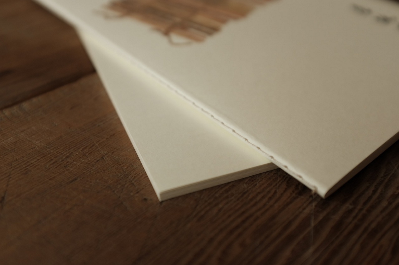 Han Dynasty Wooden Slips Notebook 