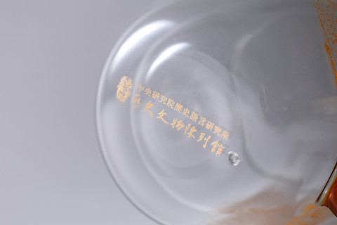 Owl Pattern Double Wall Glass