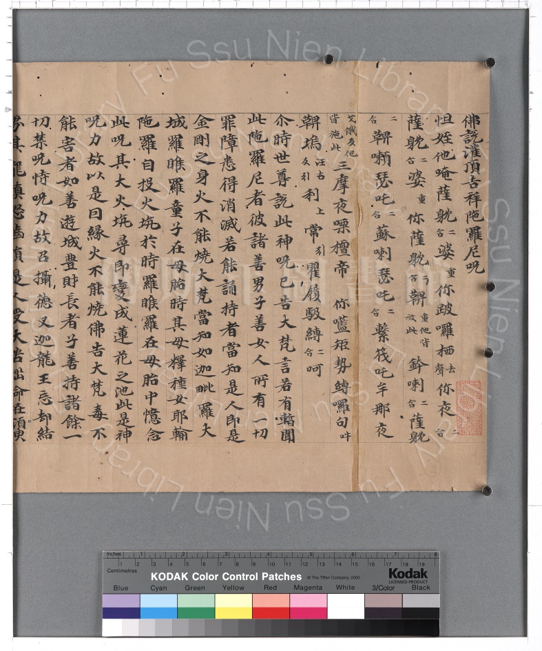 My Image 41