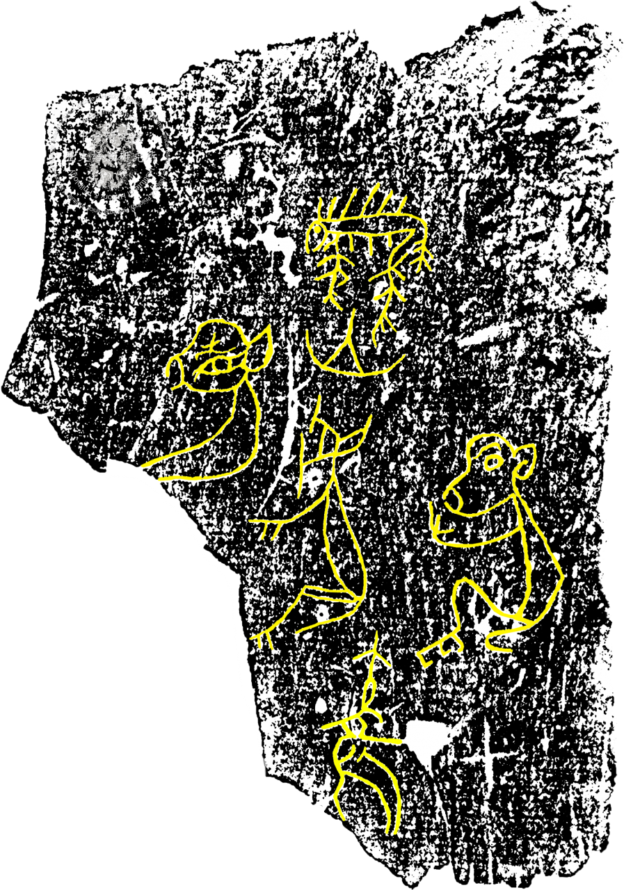 刻線画獣骨残片『甲』2336