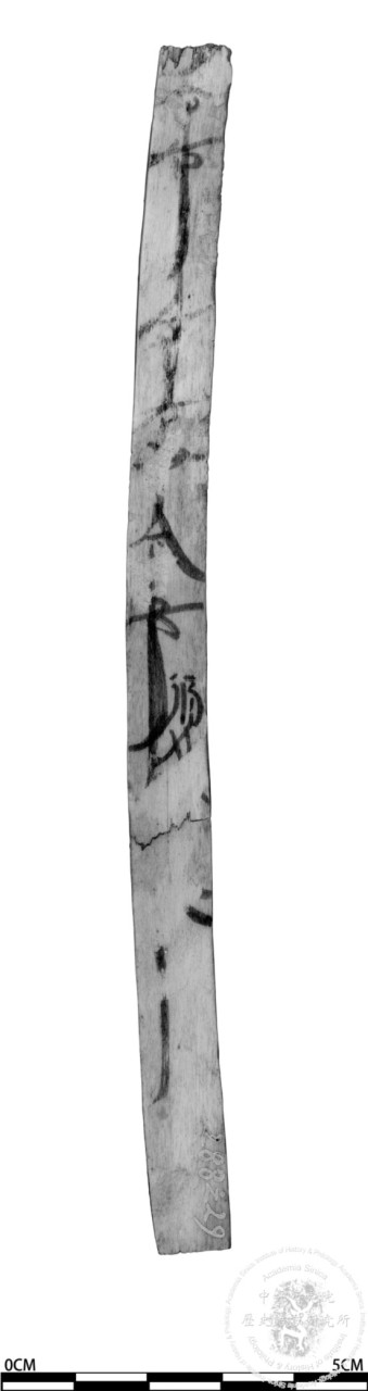 草書單字練習