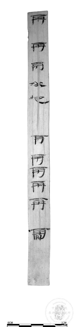 單字練習