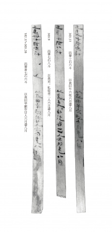 穀物出入殘簿兩組（第一組）