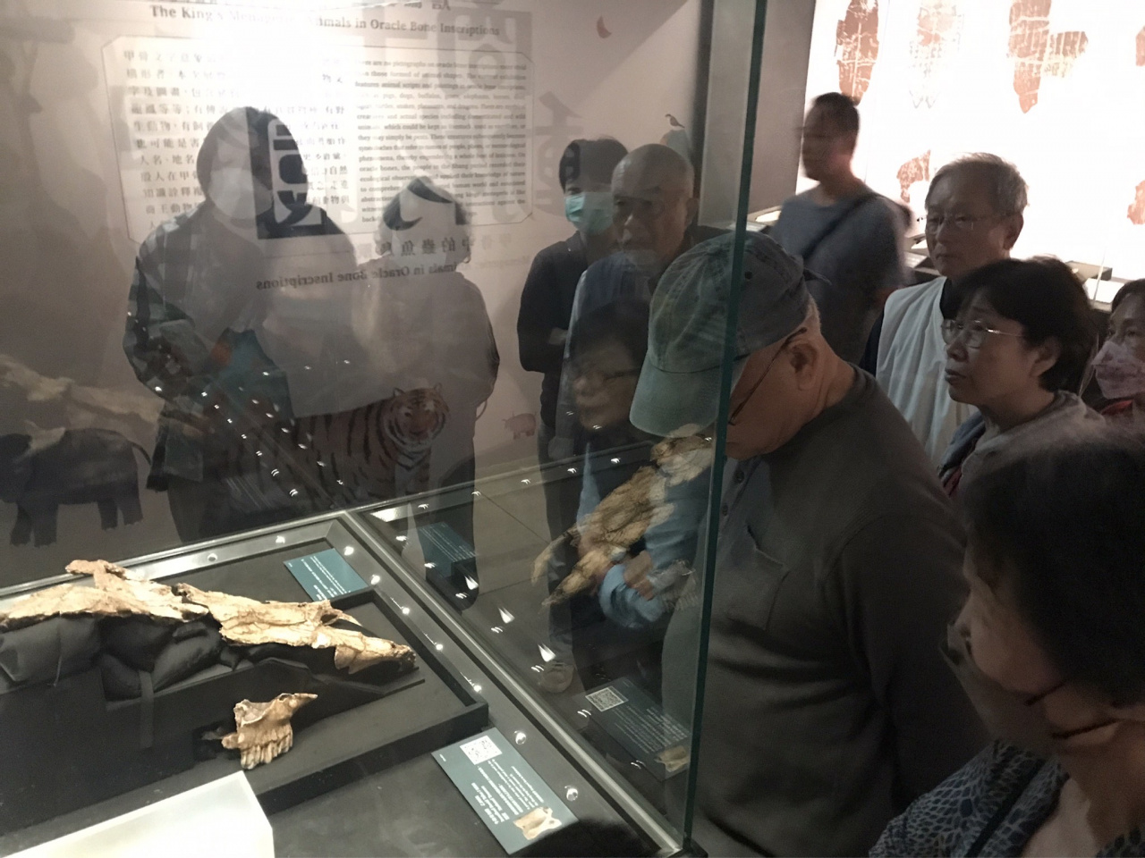 甲骨文這樣玩｜歡迎樂齡（5/13） - 2023年518國際博物館日系列活動
