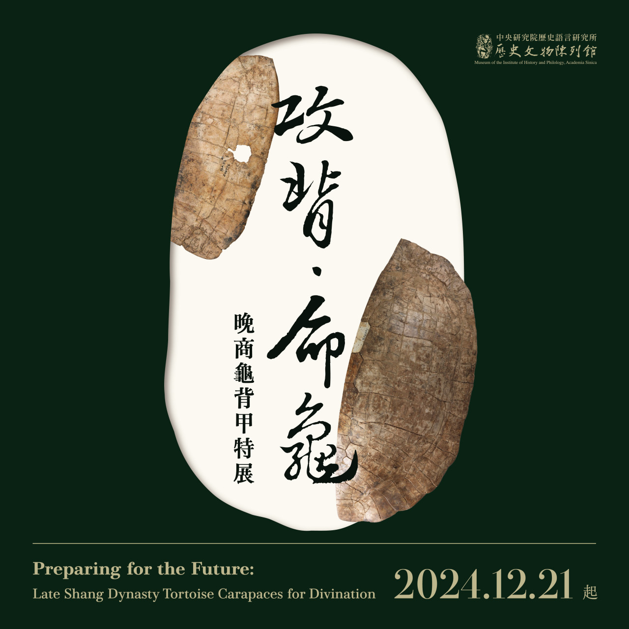 攻背．命龜：晚商龜背甲特展