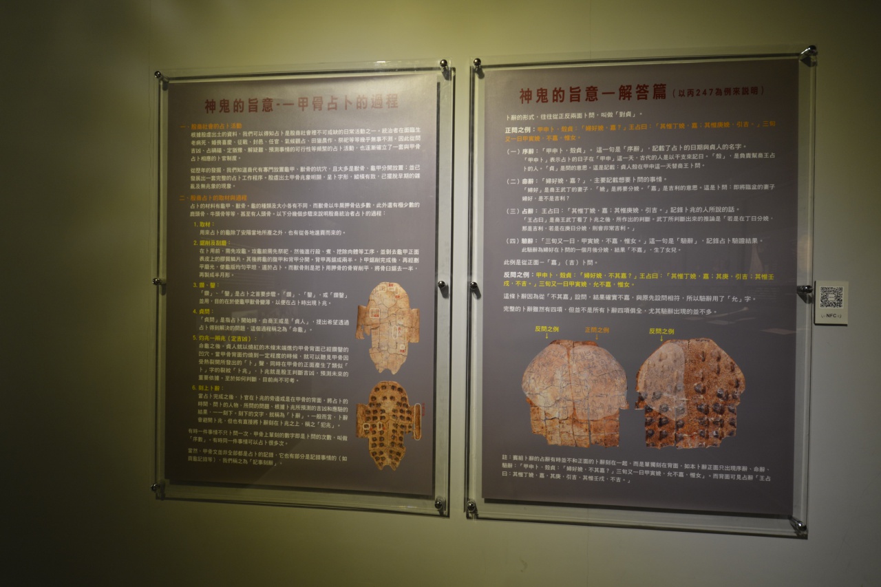 甲骨明星展