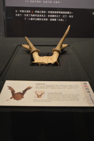 甲骨明星展