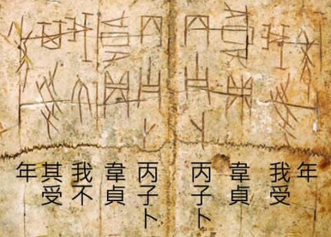 填硃卜辭龜腹甲（局部及釋文）