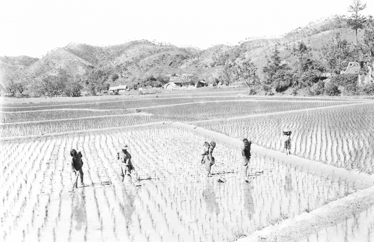 人與地：環境區分與人類適應