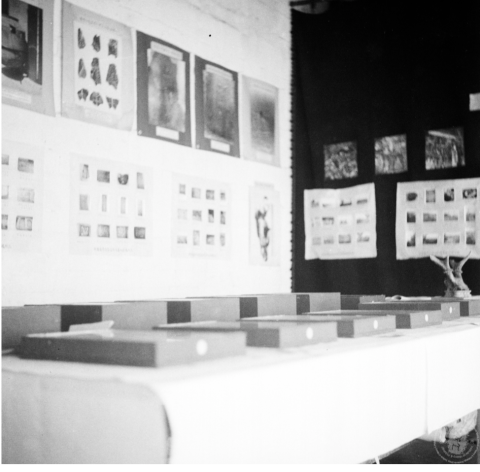 三、展覽