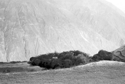 人與地：環境區分與人類適應