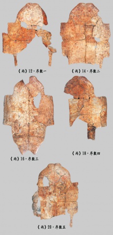 丙12、14、16、18、20